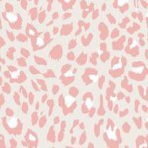 Meet your Posher, Addi